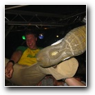 [Click to enlarge image]