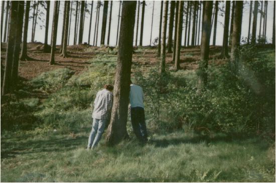 ..wer sttzt hier wen ?